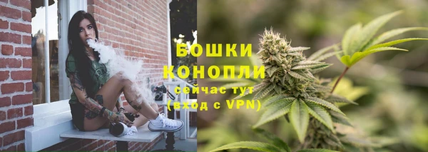 PSILOCYBIN Верхний Тагил