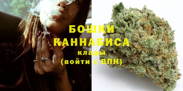PSILOCYBIN Верхний Тагил