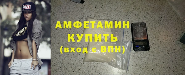 шишки Новозыбков