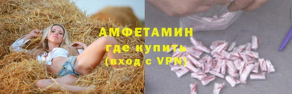 PSILOCYBIN Верхний Тагил