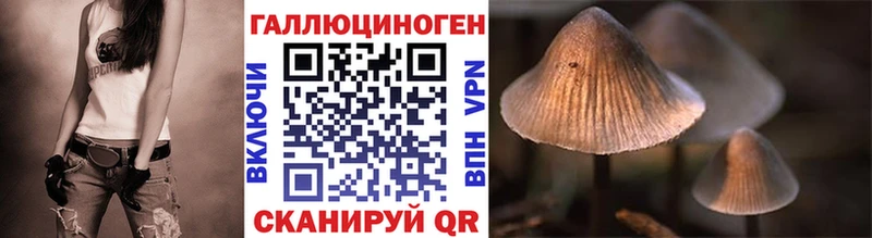 дарнет шоп  Сыктывкар  Псилоцибиновые грибы Psilocybine cubensis 
